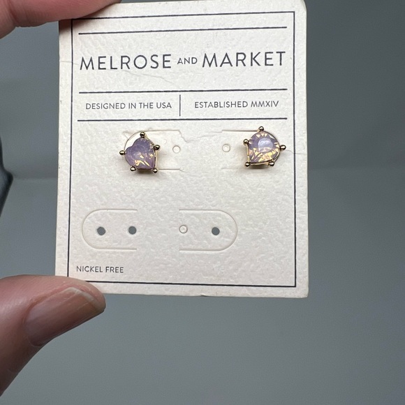 Melrose and Market Jewelry - Melrose & Market Pink Earrings | NWT